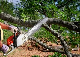 Lawn Renovation and Restoration in Bakerstown, PA