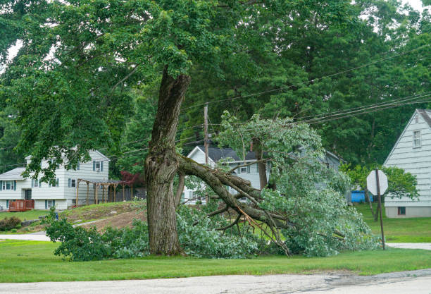 Best Emergency Tree Removal  in Bakerstown, PA