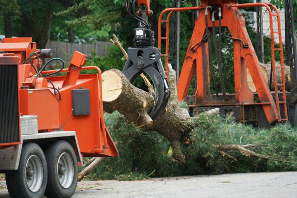  Bakerstown, PA Tree Services Pros